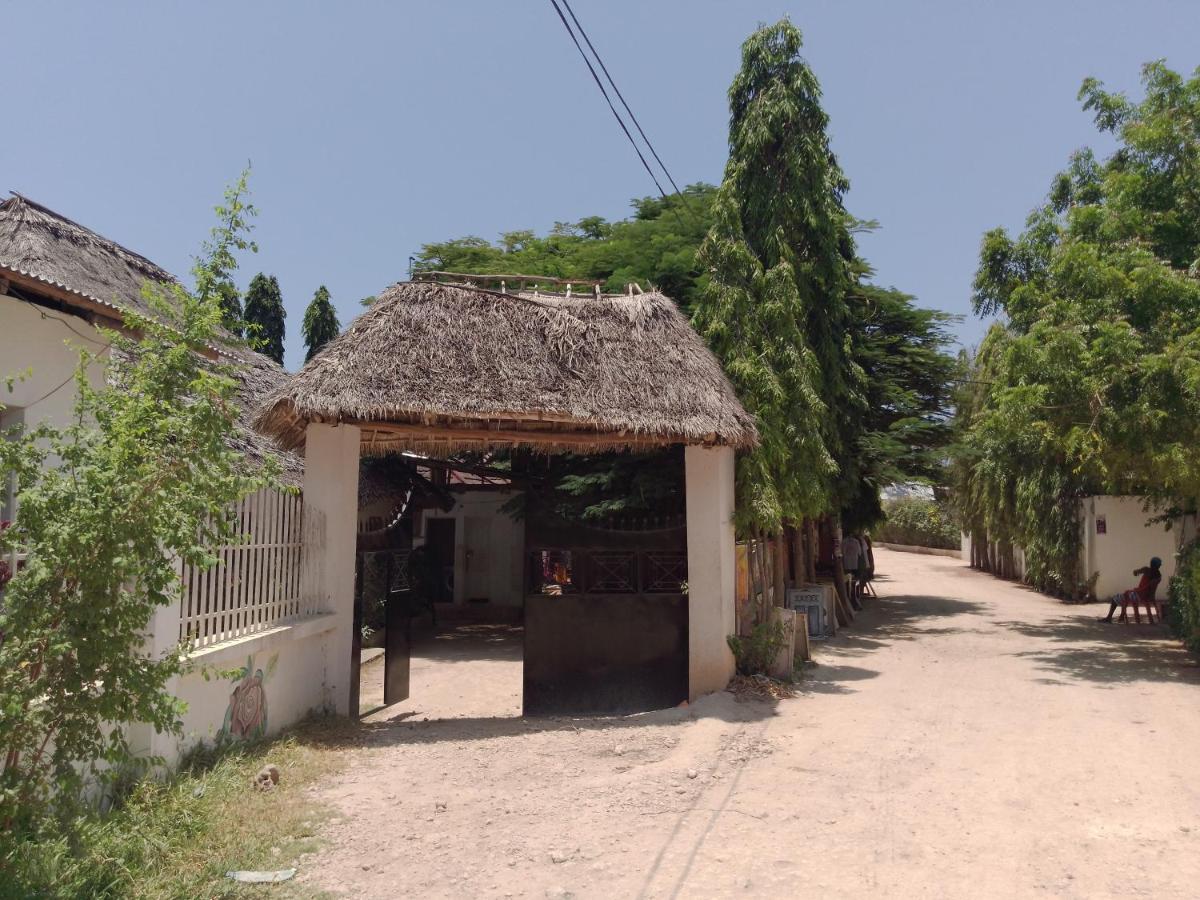 H & H Bungalows Nungwi Luaran gambar