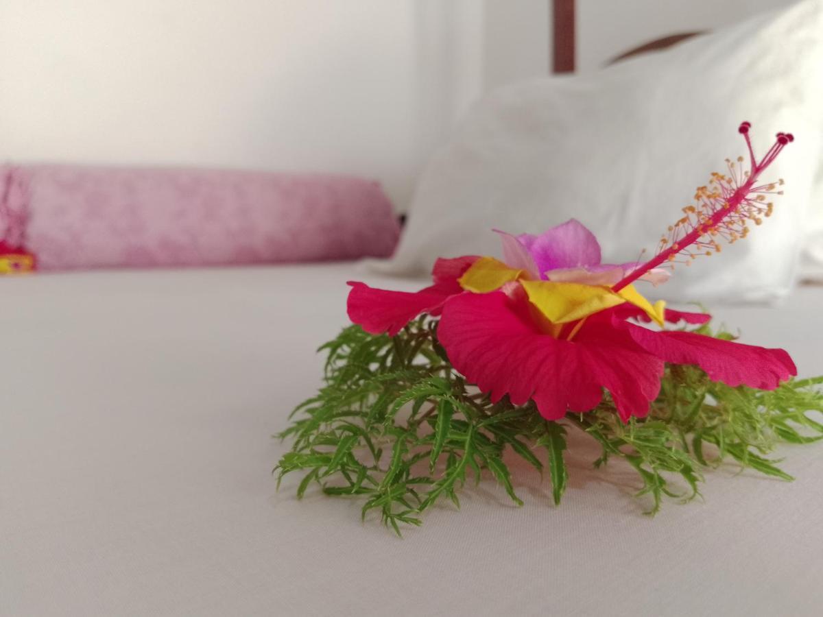 H & H Bungalows Nungwi Luaran gambar