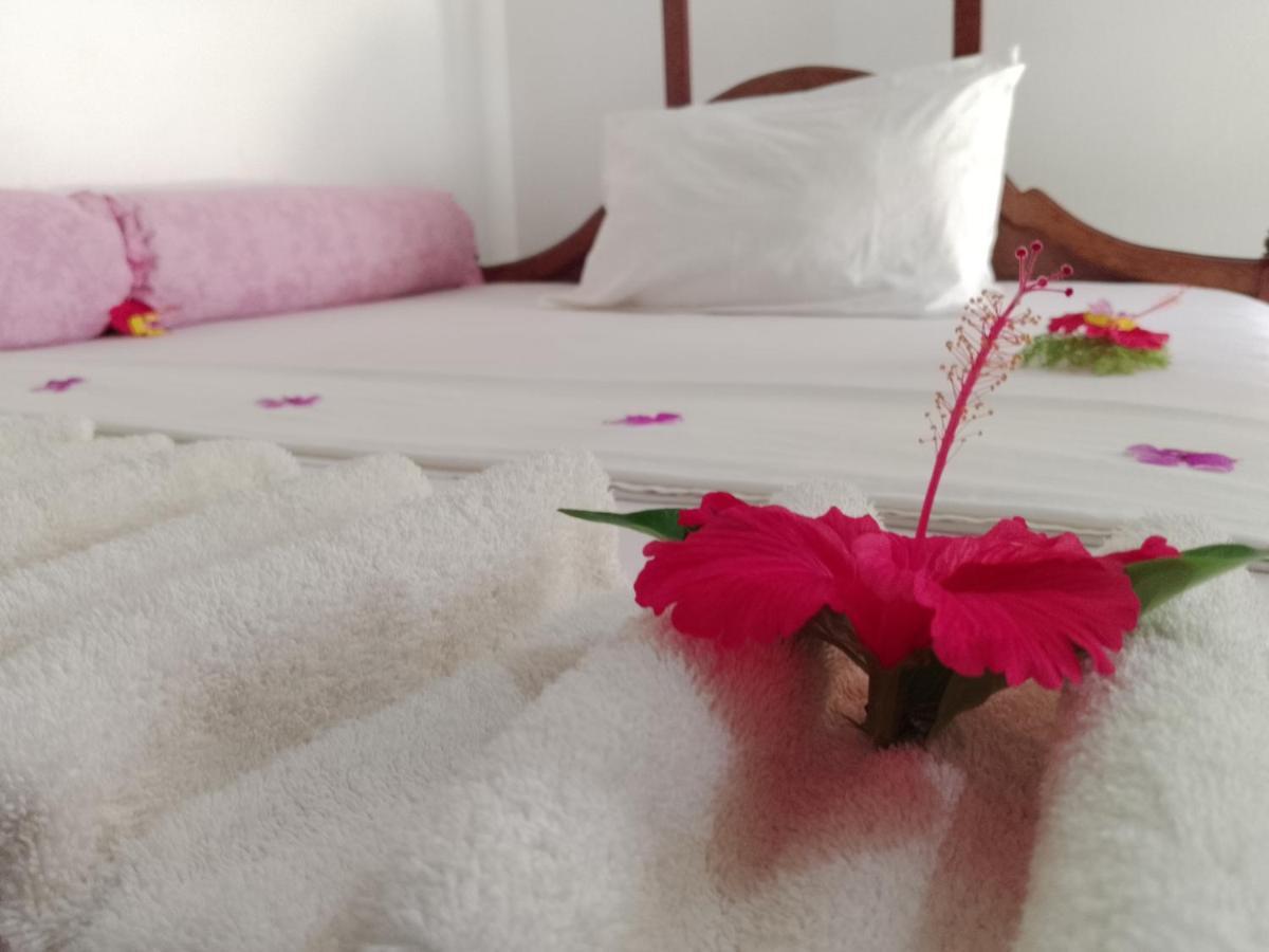 H & H Bungalows Nungwi Luaran gambar
