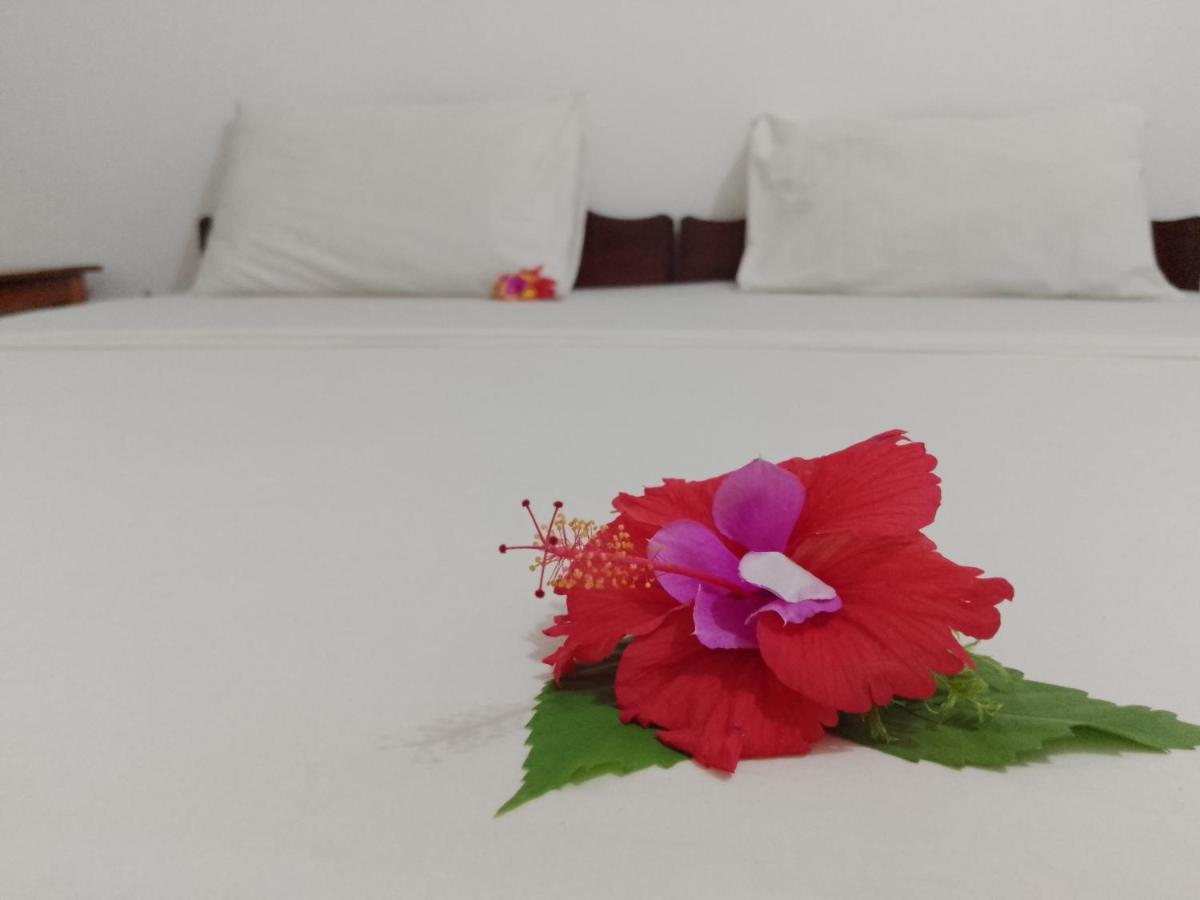 H & H Bungalows Nungwi Luaran gambar